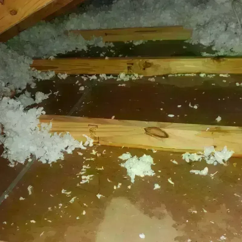 Attic Water Damage in Samoset, FL